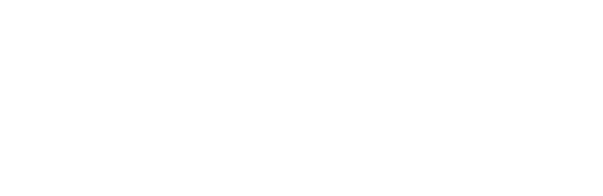 Cleverfox Company