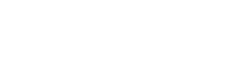Cleverfox Company